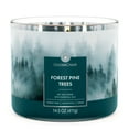 thumbnail image 1 of Goose Creek 3-Wick Forest Pine Trees Scented Jar Candle, 14.5oz., 1 of 8