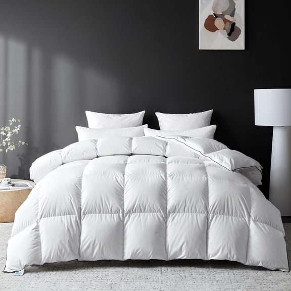Goose Down Fiber Comforter Size, Season Fluffy Duvet Insert, Hotel Bedding Comforter Medium Warmth Duvet Insert (90 x 90in, White)