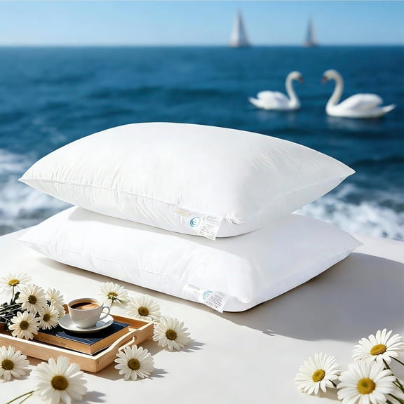 Goose Down Pillows Size Set of 2, 3-Chamber 5 Hotel Pillow for Deep Sleep,Soft Bed Pillows for , for Side Sleeper, Shell(2 Pack,20"x30")
