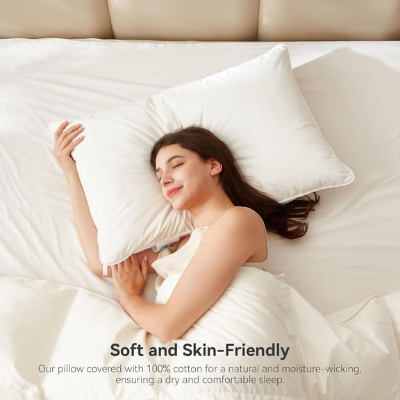 Goose Feather Down Pillows, Standard Size (20" x 26")