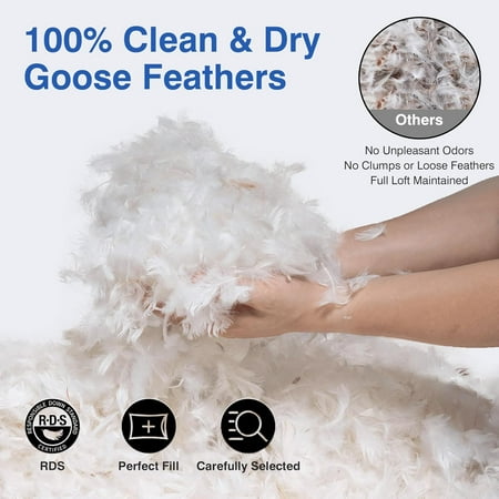 Feather Pillows Queen Size Set of 2