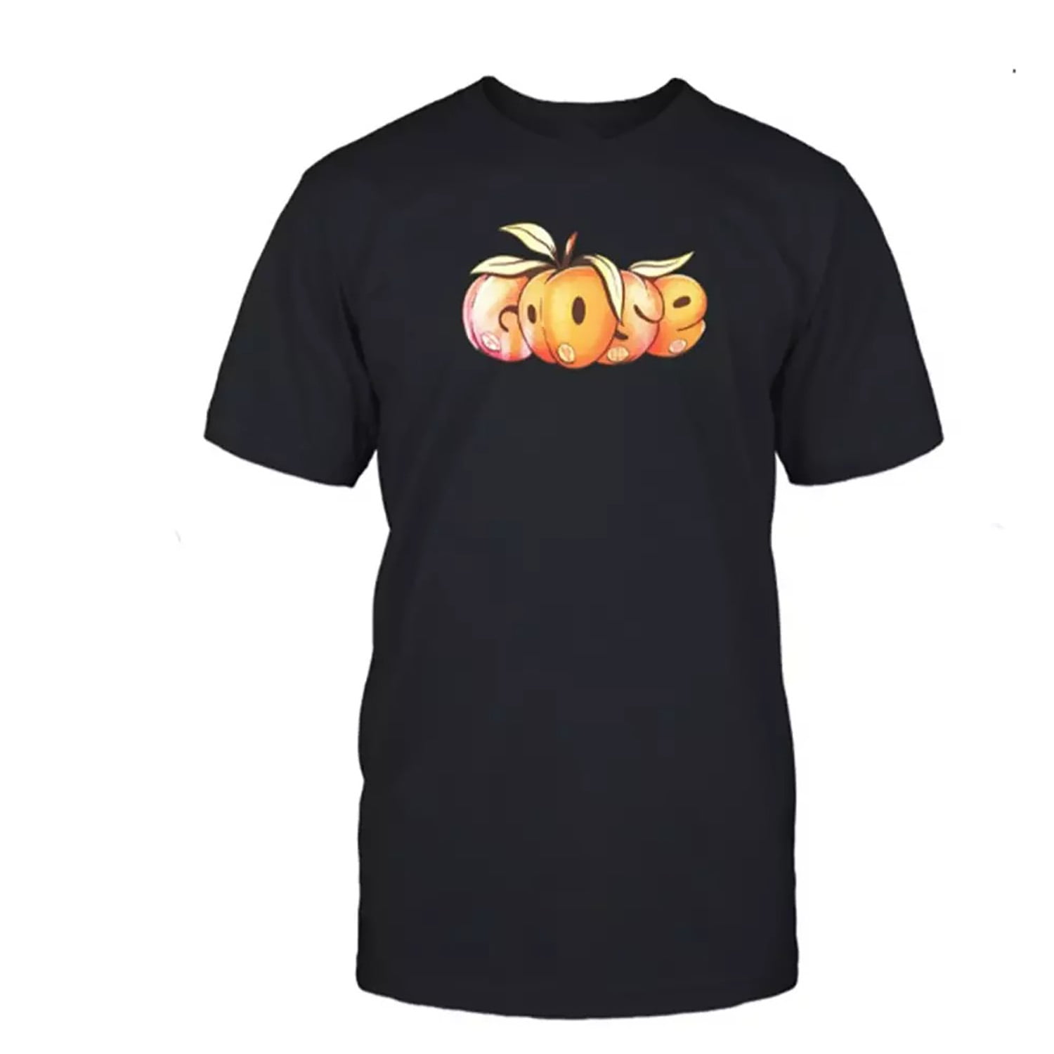 Goose Fox Theater 2024 Show Tee T Shirt