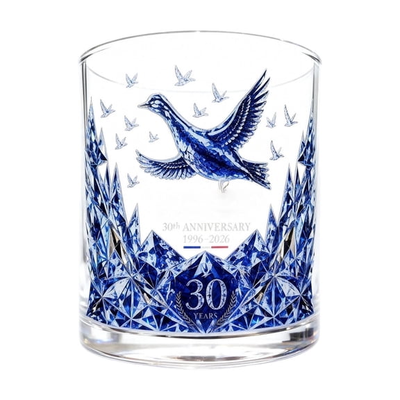Goose Frozen Flight Edition Glass Cup - Goose Frozen Flight Edition Collectible Frosted Glass Tumbler, Blue and Silver Embossed Rocks Glass
