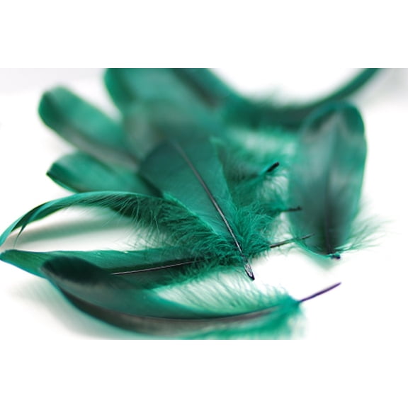 Goose Pallet Feathers 6-8" - 12 pc - Hunter Green