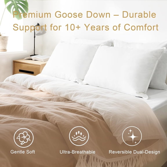 Goose Down Pillow Hotel Quality with Feather Fill 750 Fill Power Size 2 Pack with Pillowcase for Master Bedroom Support for Back Side Stomach Sleepers