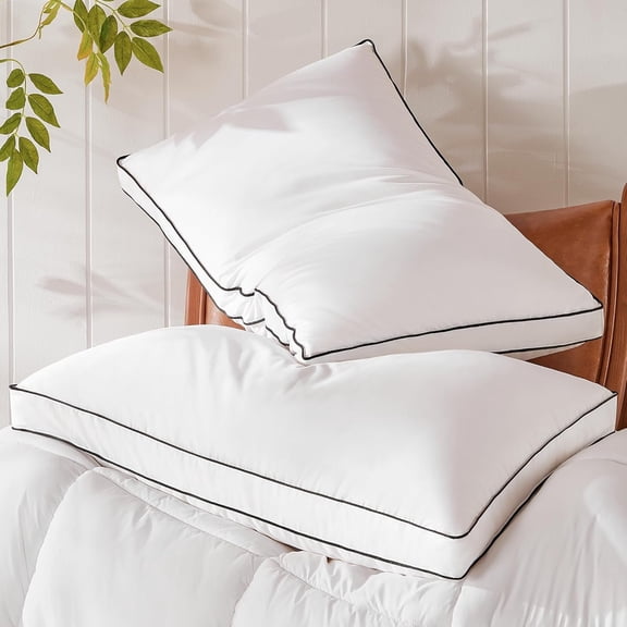 Goose Down Pillows Size Set of 2, Hotel Collection Bed Pillows for Sleeping, Down Surrounded Gusseted Bed Pillow 2 Pack, Soft for Side Sleepers 20x30 in.