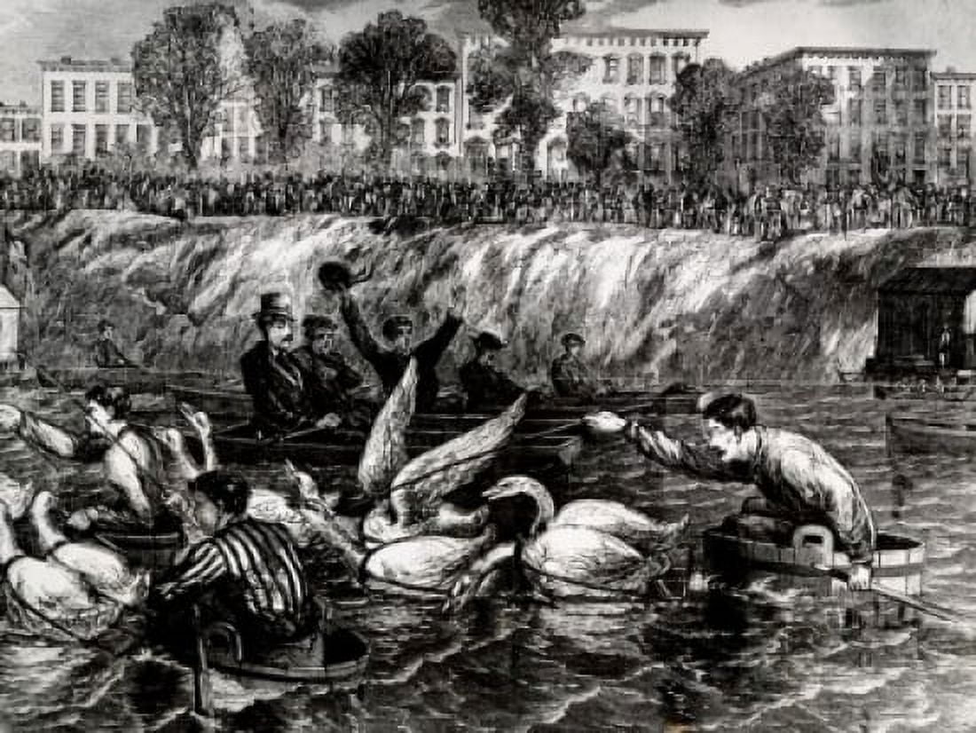 Goose Race September 23 1869 Canvas Art - (18 x 24)