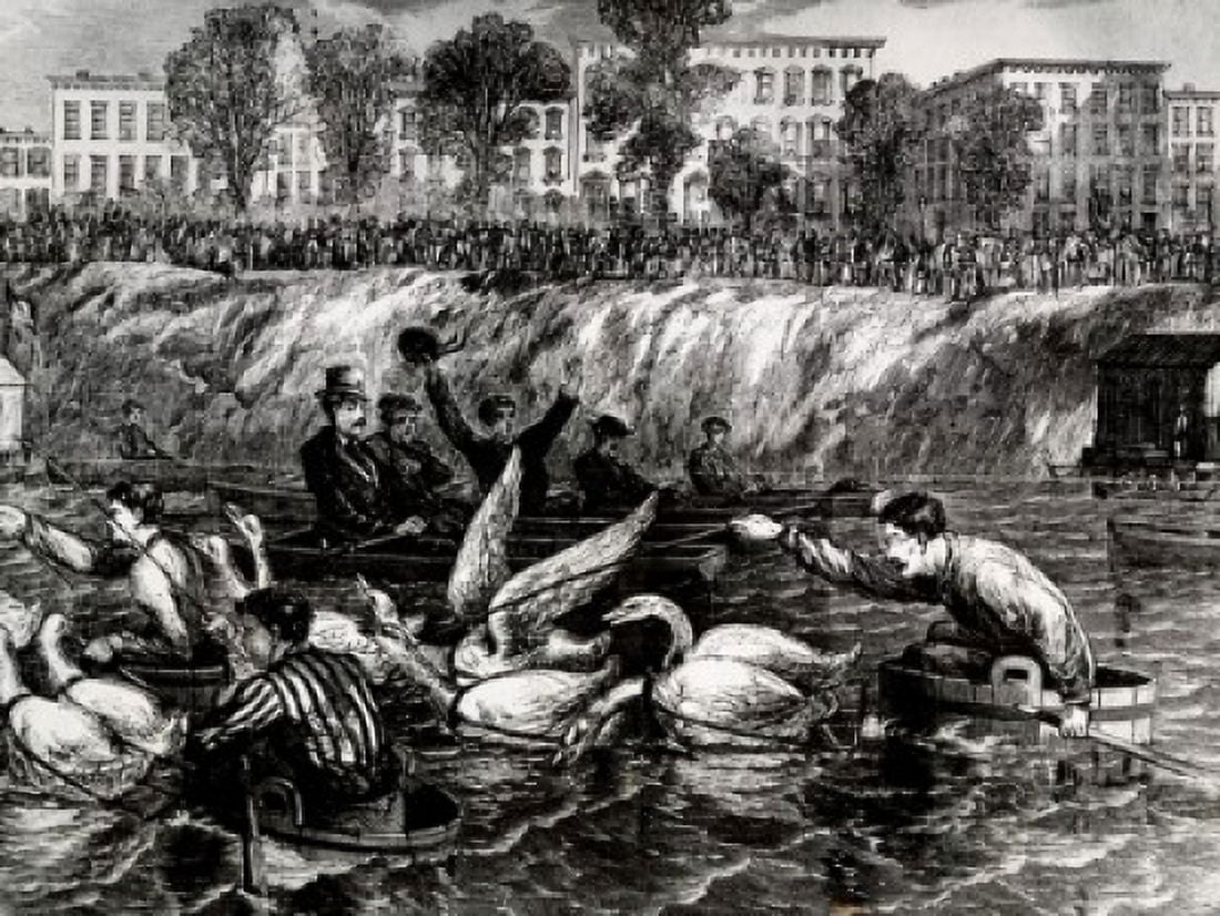 Goose Race September 23 1869 Canvas Art - (24 x 36)