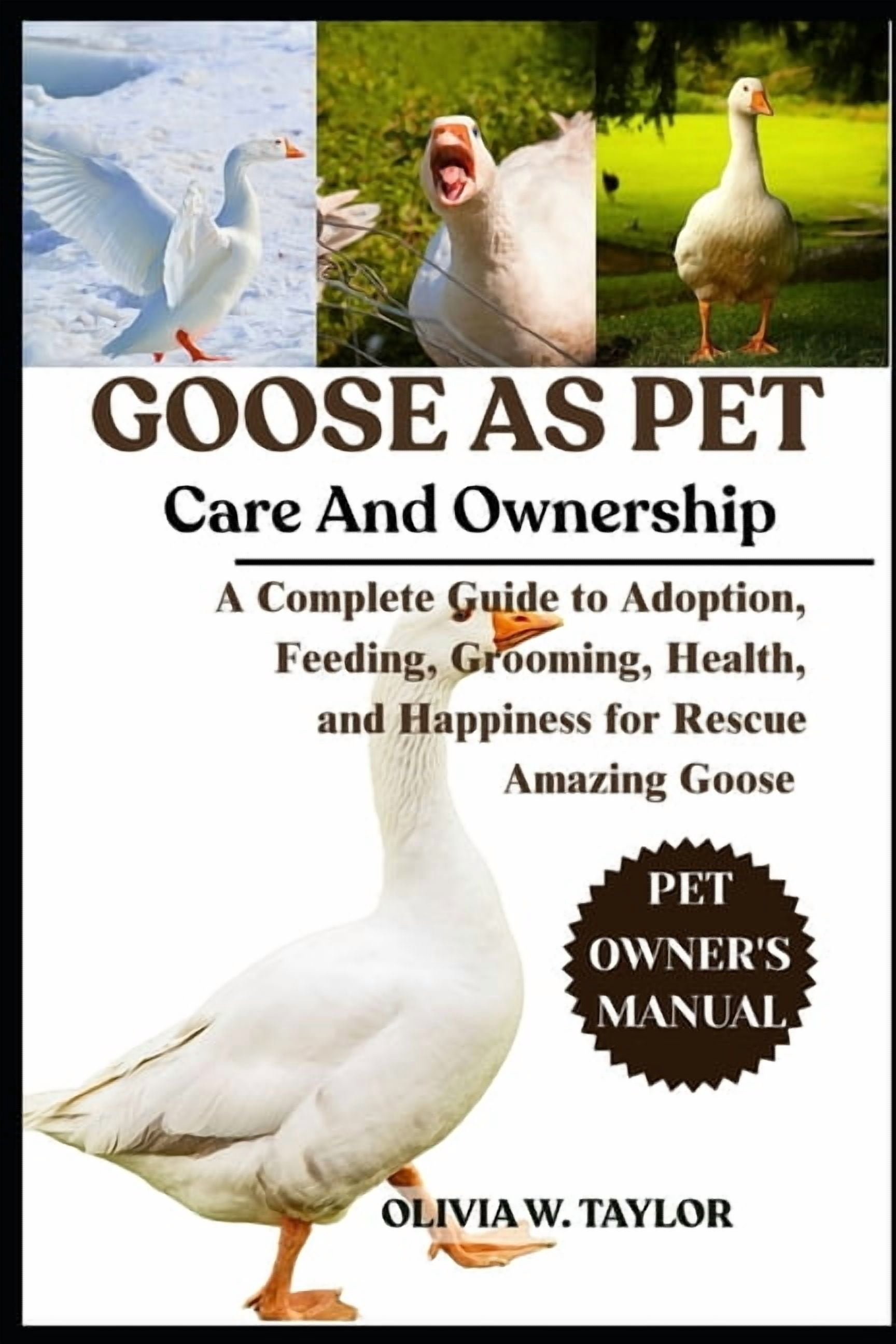 Goose as Pet: A Complete Guide to Adoption, Feeding, Grooming, Health ...