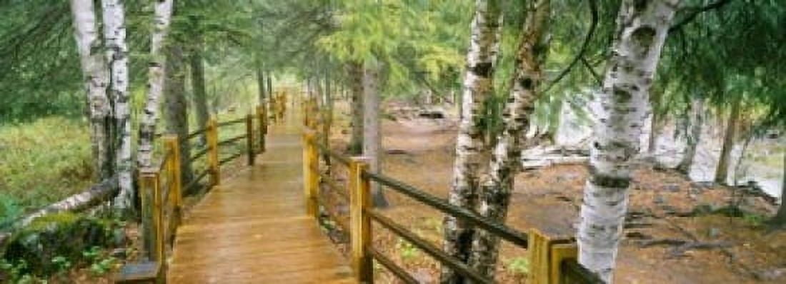 Gooseberry River Gooseberry Falls State Park Minnesota Canvas Art - Panoramic Images (34 x 12)
