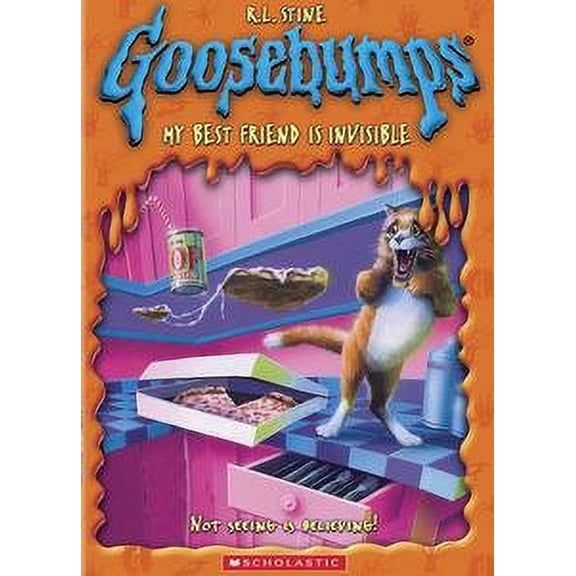 Pre-Owned Goosebumps: My Best Friend is Invisible [DVD]
