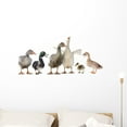 thumbnail image 1 of Gooses and Ducks Wall Decal by Wallmonkeys Peel and Stick Graphic (36 in W x 16 in H) WM108242, 1 of 4