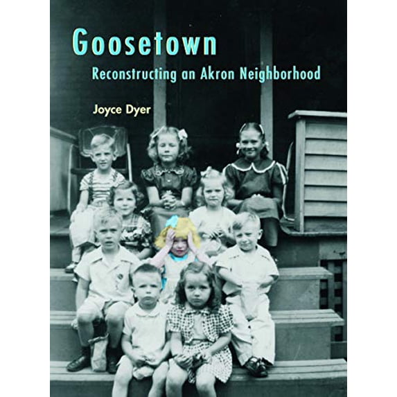 Pre-Owned Goosetown : Reconstructing an Akron Neighborhood (Hardcover) 9781931968706