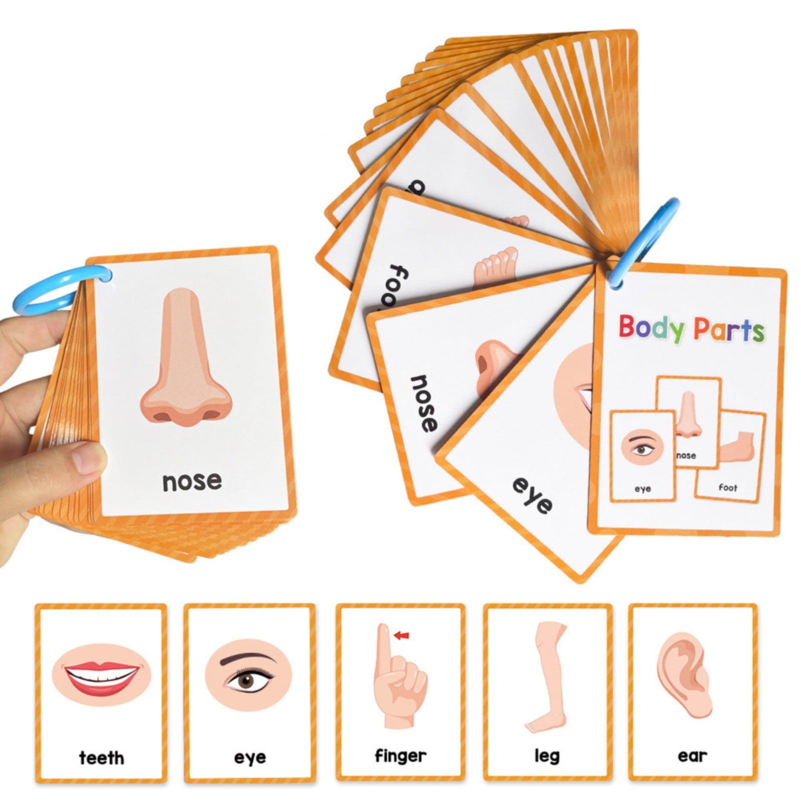 Goowood 15Pieces Body Parts Flash Cards for Toddlers 1-3 Montessori ...
