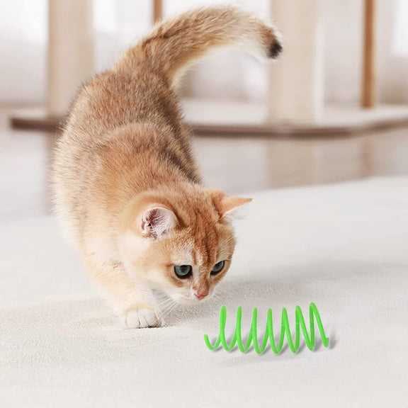Goowood Indoor Cat Spring Toys Plastic Colorful Springs for Biting Swatting and Hunting Fun Interactive Coils for Active Feline Play