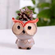 Goowood Owl Succulent Pots Mini Ceramic Owl Planter for Indoor Plants Small Plant Pots for Desktop Windowsill and Bookshelf Decor