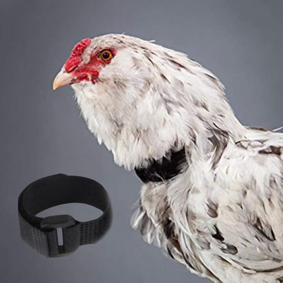 Goowood Rooster Collar 2 Pack Anti Crow Noise Adjustable Chicken Collar Rooster Belt with Buckle for Backyard Poultry Comfortable Safe Crow Control Solution