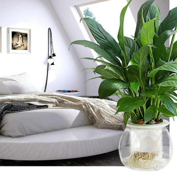 Goowood Self Watering Planter for Indoor Plants 1pc Automatic Watering Flower Pot with Transparent Reservoir for African Violets