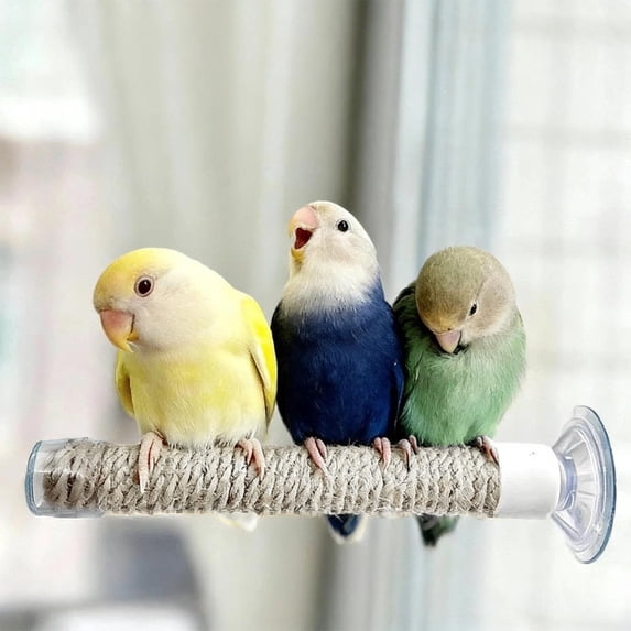 Goowood Suction Cup Bird Perch Portable Rope Parrot Perch for Flat Tiles Window and Car Travel Grinding Stand Bird Cage Accessories