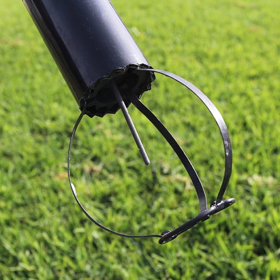Trapping Set with Wedge and Probe Tool