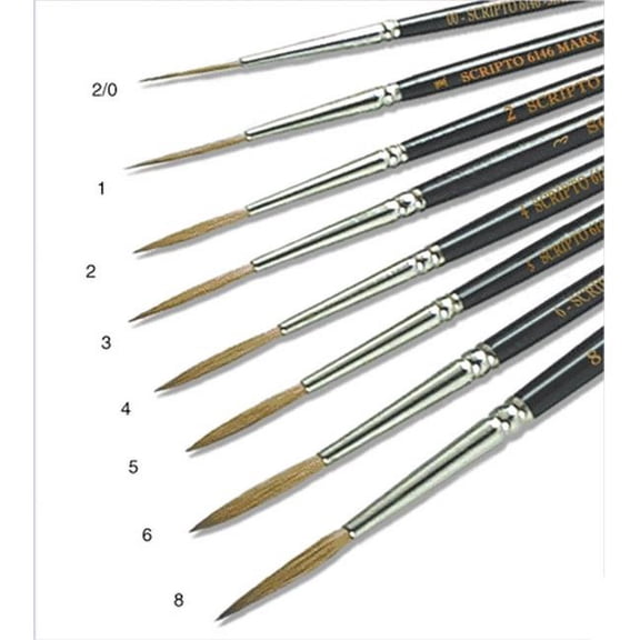 Gordon Brush Scripto Pure Sable- Case Of 12