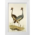 thumbnail image 1 of Gordon, Robert J. 13x18 White Modern Wood Framed Museum Art Print Titled - Royal Birds, 1 of 4