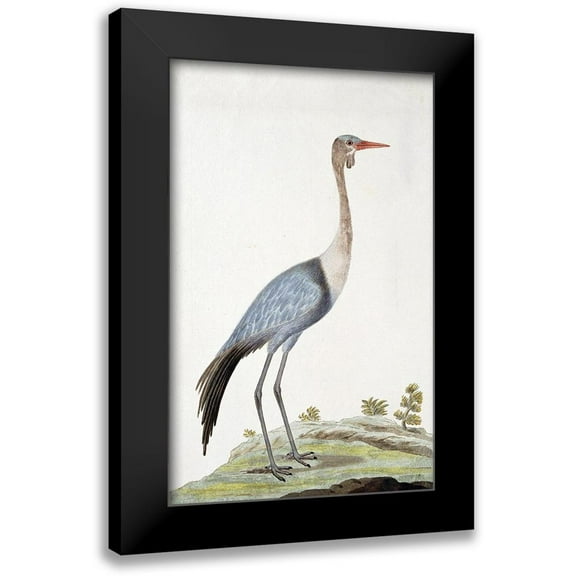 Gordon, Robert James 10x14 Black Modern Framed Museum Art Print Titled - Crane