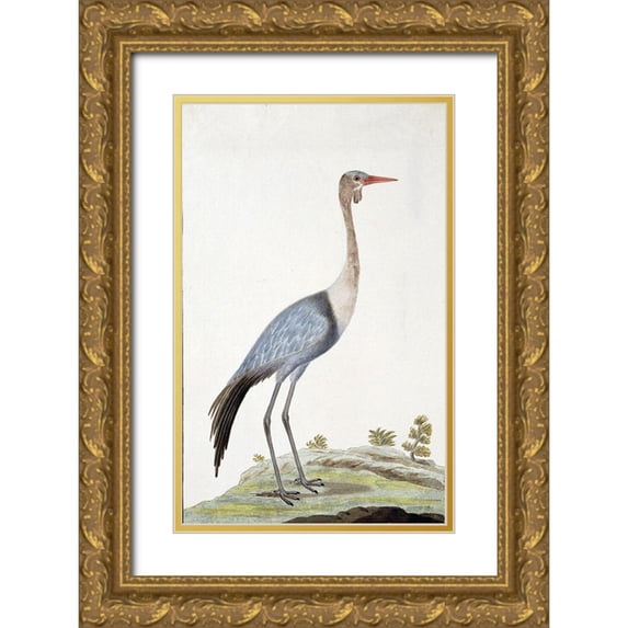 Gordon, Robert James 10x14 Gold Ornate Wood Framed with Double Matting Museum Art Print Titled - Crane