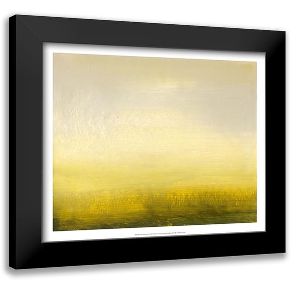 Gordon, Sharon 14x12 Black Modern Framed Museum Art Print Titled - Low Country II
