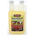 thumbnail image 1 of Gordon's 9291082 Permethrin 10 Livestock & Premise Insecticide Spray, Qt. Concentrate - Quantity 1, 1 of 4