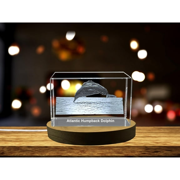 Gorgeous Atlantic Humpback Dolphin Engraved in Crystal Collectible Figurine for Home Decoration