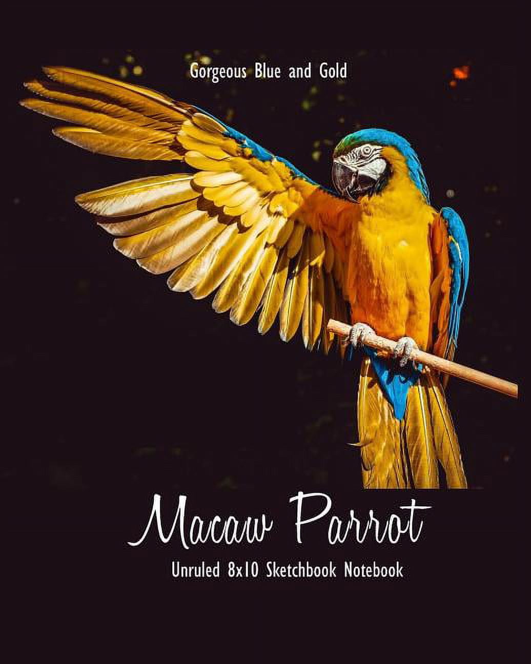 Gorgeous Blue and Gold Macaw Parrot Unruled 8x10 Sketchbook Notebook  (Paperback)
