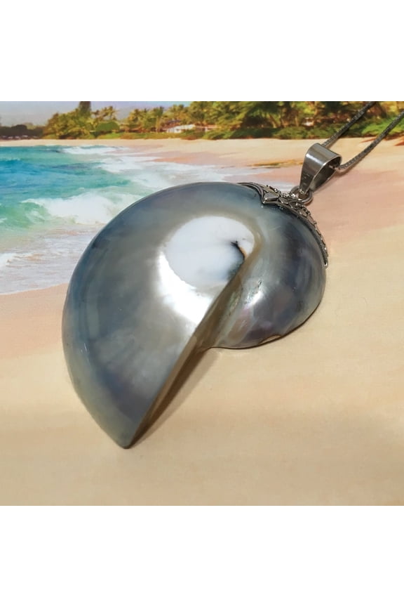 Gorgeous Genuine X-Large Nautilus Shell Necklace, Sterling Silver Natural Nautilus Fossil Pendant N8071 Birthday Mom Gift, Statement PC
