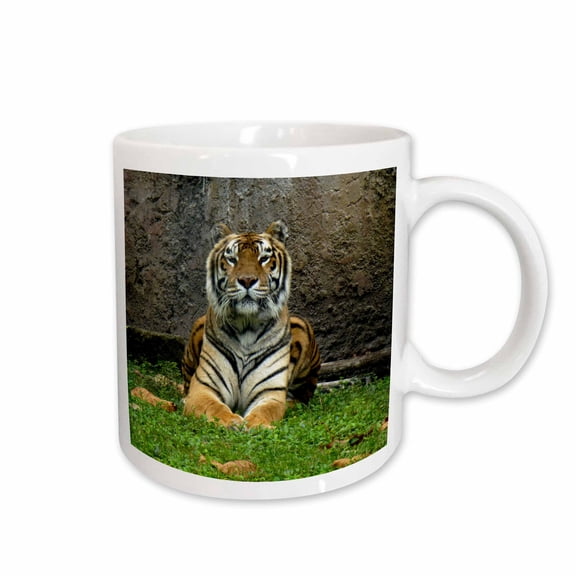 3drose, Gorgeous Majestic Tiger Keeping a Look Out, 15oz Mug