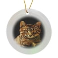 thumbnail image 1 of 3drose, Gorgeous Tabby Cat with Staring Yellow Eyes Isolated on Black, Circle Porcelain Ornament, 1 of 7