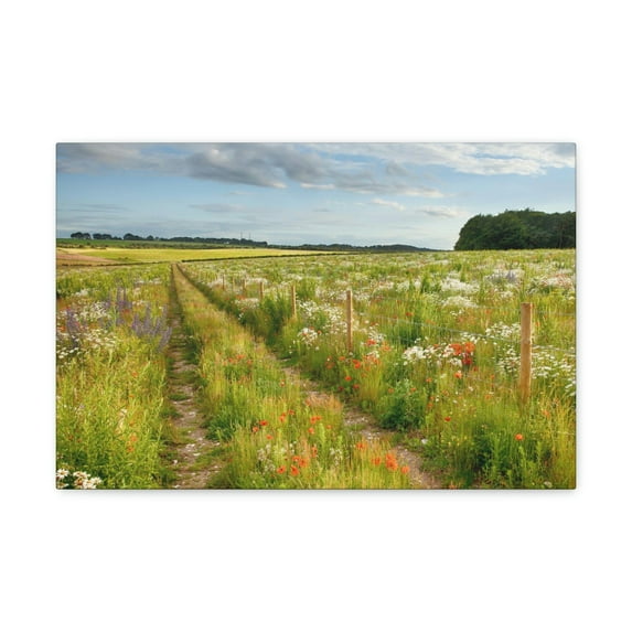 Gorgeous Wild Flower Meadow Scene Beautiful Pleasant and Lovely Beauty Nature Scene Different Colorful Flowers Wall Art Ready to Hang Unframed