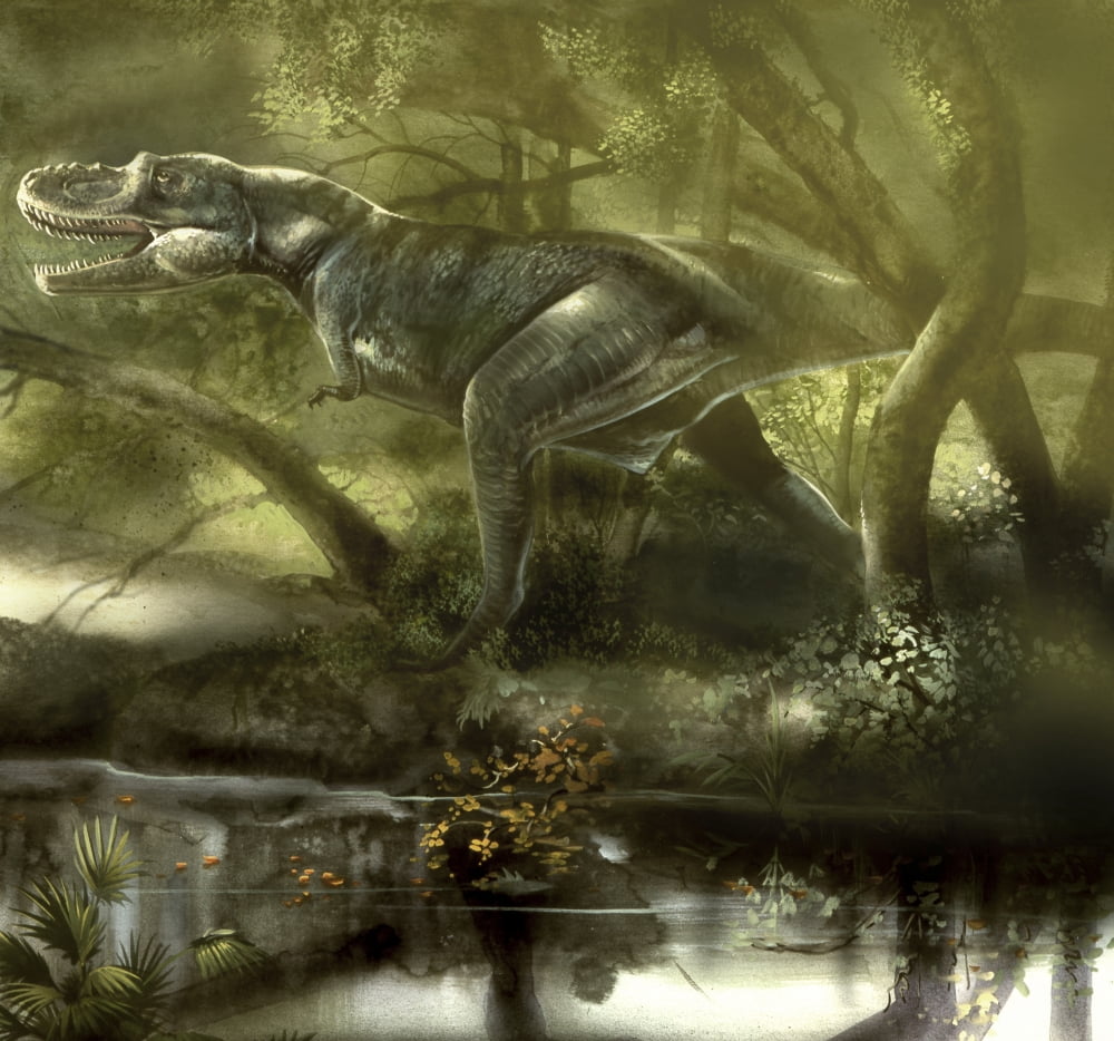 Gorgosaurus dinosaur hunting for food Canvas Art - Jan SovakStocktrek Images (29 x 27)