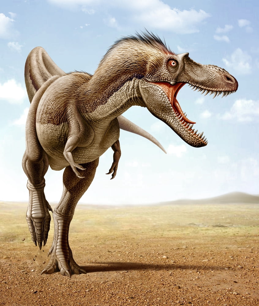 Gorgosaurus running across an open desert Canvas Art - Mohamad HaghaniStocktrek Images (13 x 16)