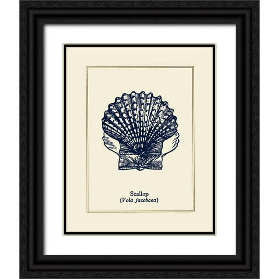 Gorham, Gregory 12x14 Black Ornate Wood Framed with Double Matting Museum Art Print Titled - Scallop Shell