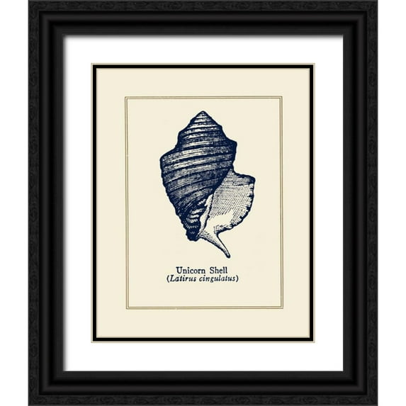 Gorham, Gregory 12x14 Black Ornate Wood Framed with Double Matting Museum Art Print Titled - Unicorn Shell