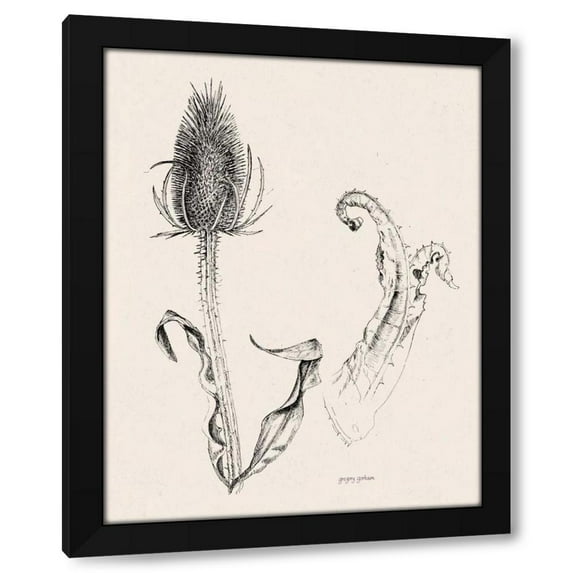 Gregory Gorham 20x24 Black Modern Wood Framed Wall Art Titled - Plant Life IV