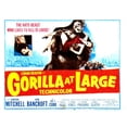 thumbnail image 1 of Gorilla At Large Still (10 x 8), 1 of 1