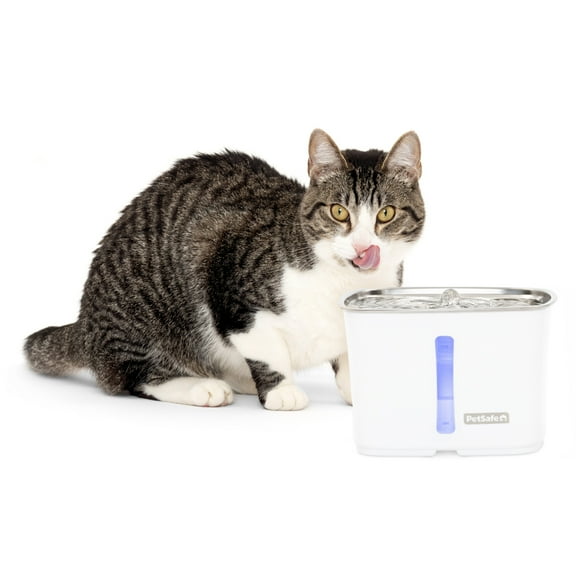PetSafe Viva Cat Water Fountain 64oz, Stainless-Steel Bowl, Whisper Quiet Pump