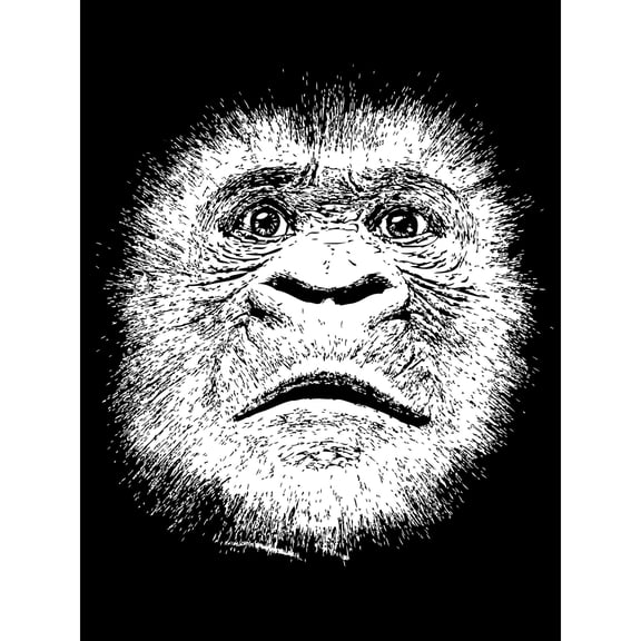 Gorilla Monkey Ape Face Large Wall Art Print