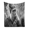 thumbnail image 1 of Gorilla Soft Flannel Fleece Throw Blanket, Close up Shot of an Ape Animal on a Blurry Background, Cozy Plush for Indoor and Outdoor Use, 50" x 60", Dimgray Charcoal Grey, by Ambesonne, 1 of 5