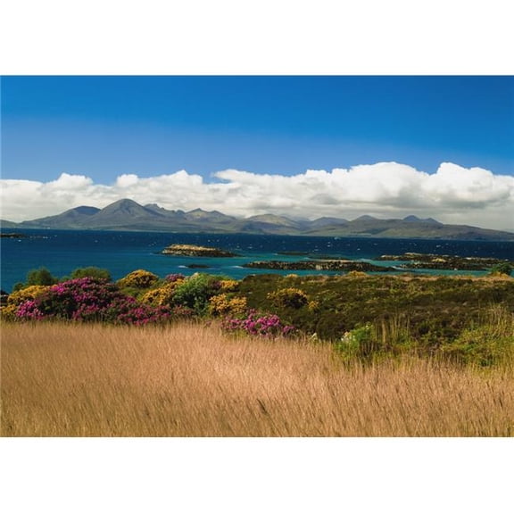 Gorse & Rhododendron Bushes Along Coast Poster Print, 18 x 13