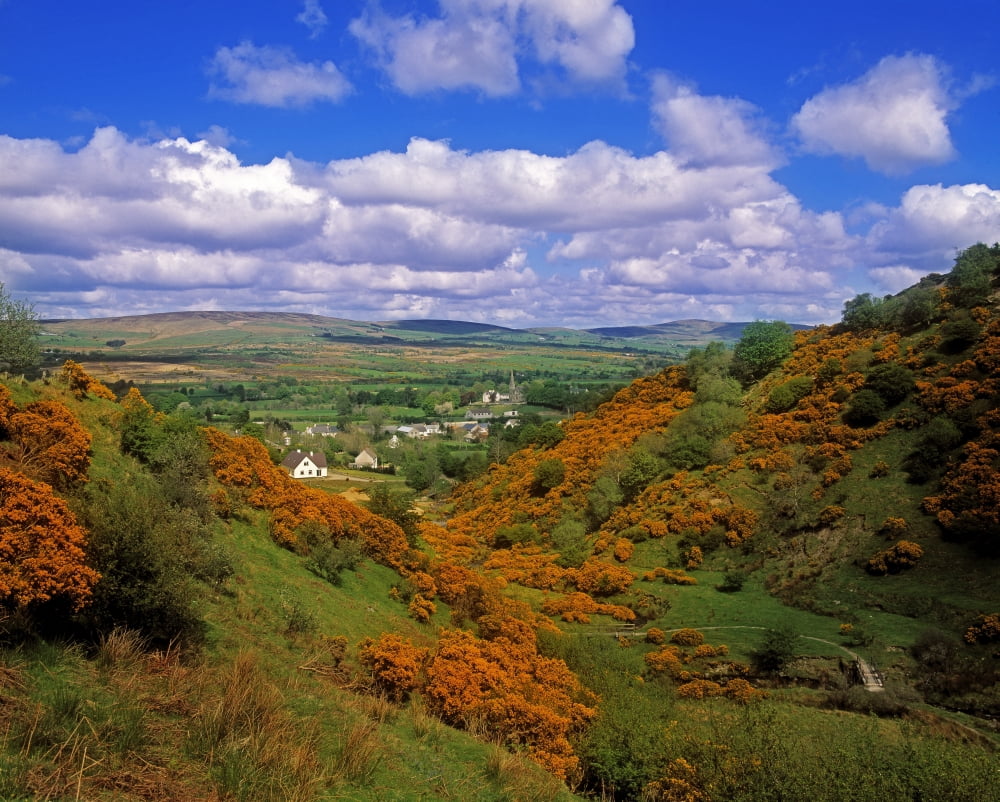 Gortin Valley Co Tyrone Ireland Valley With Houses In The Distance Canvas Art - The Irish Image Collection Design Pics (16 x 13)