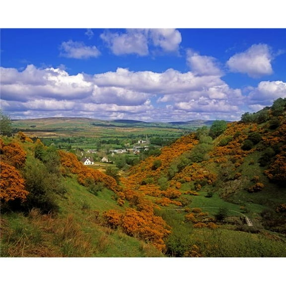 Gortin Valley  Co Tyrone  Ireland; Valley With Houses In The Distance Poster Print