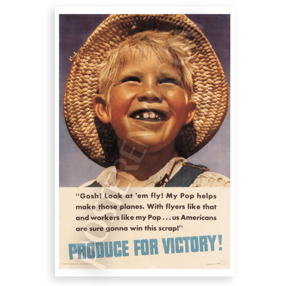 Gosh Look at em Fly Produce for Victory WWII Propaganda 12x18 US Made Poster