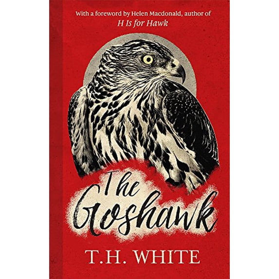 Pre-Owned The Goshawk: With a new foreword by Helen Macdonald Paperback